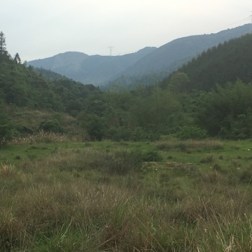 山地出租