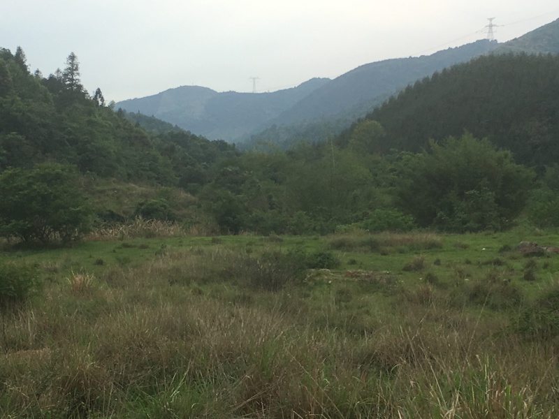 山地出租