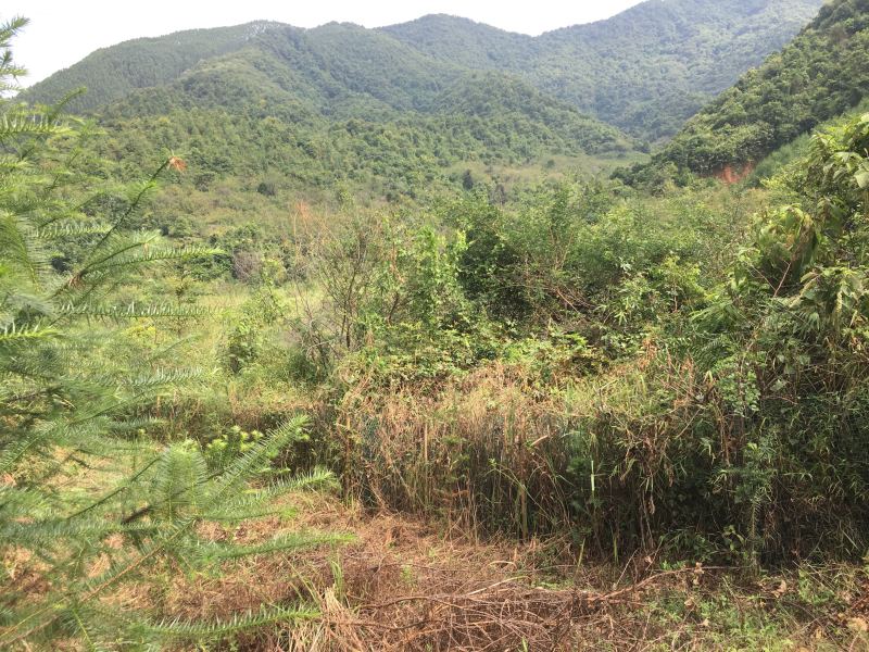 山地出租