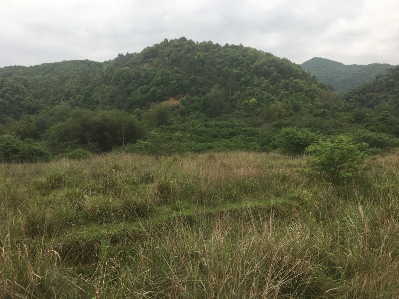 山地出租