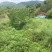 山地出租