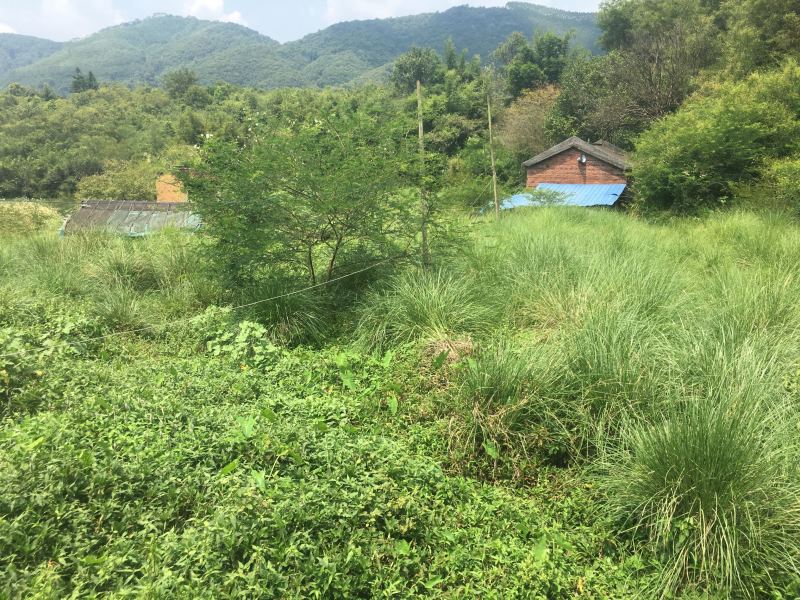 山地出租