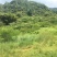 山地出租
