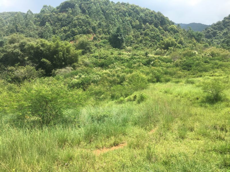 山地出租