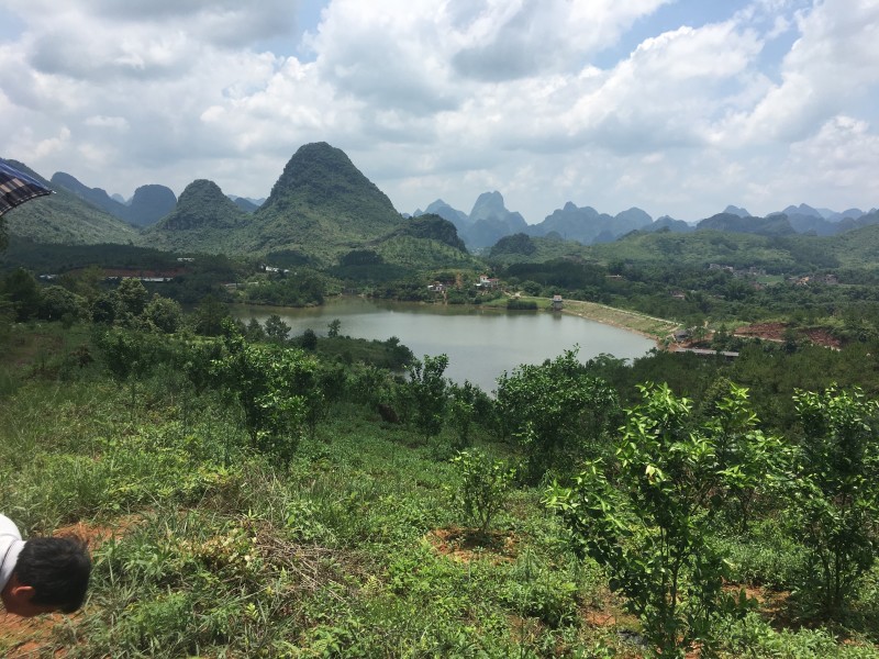 山地出租