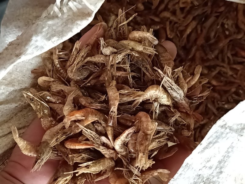 小干虾