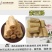 面筋丁面筋条纯大豆品凉拌涮火锅麻辣烫面筋丁包邮