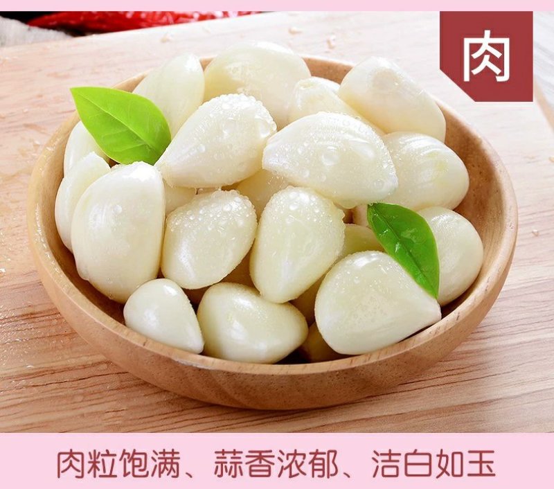 山东紫皮大蒜红皮红辦产地直发欢迎来电洽谈合作