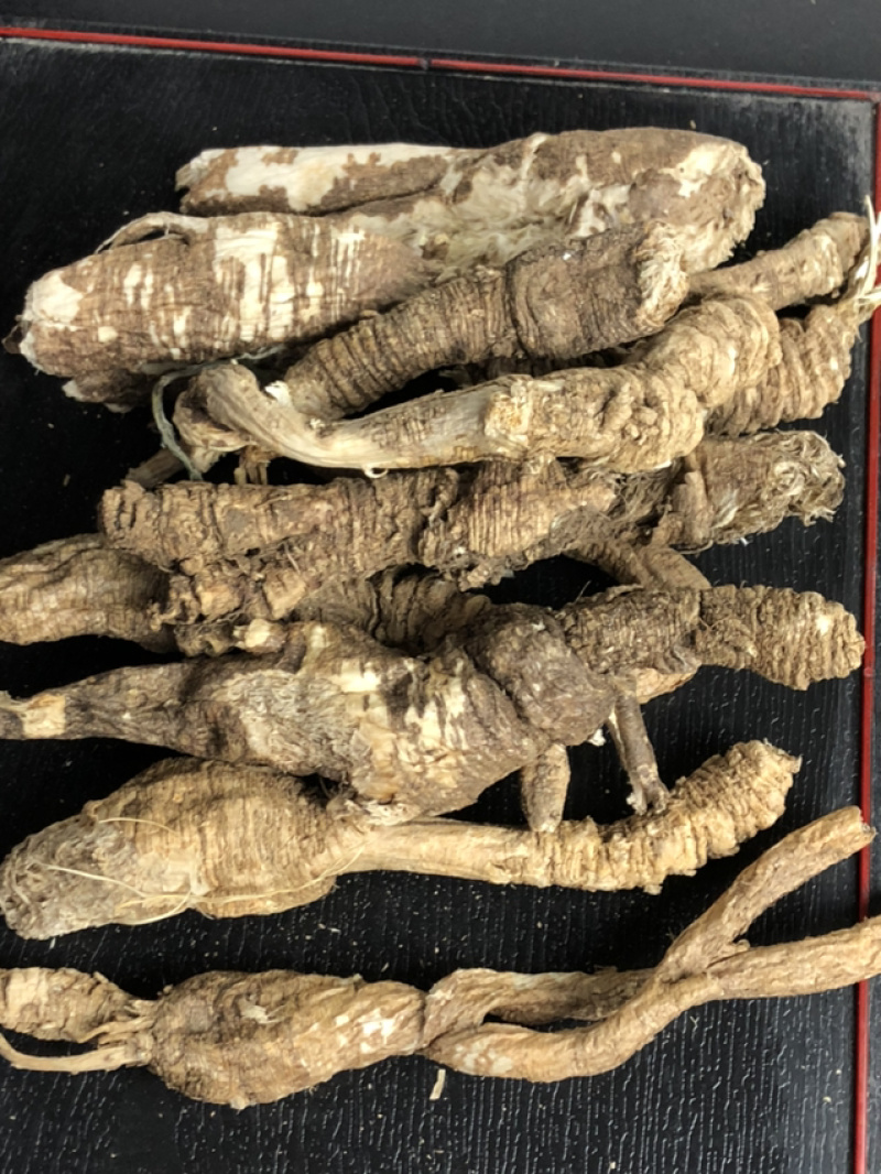 我们承德野生药的品种，欢迎咨询订购。