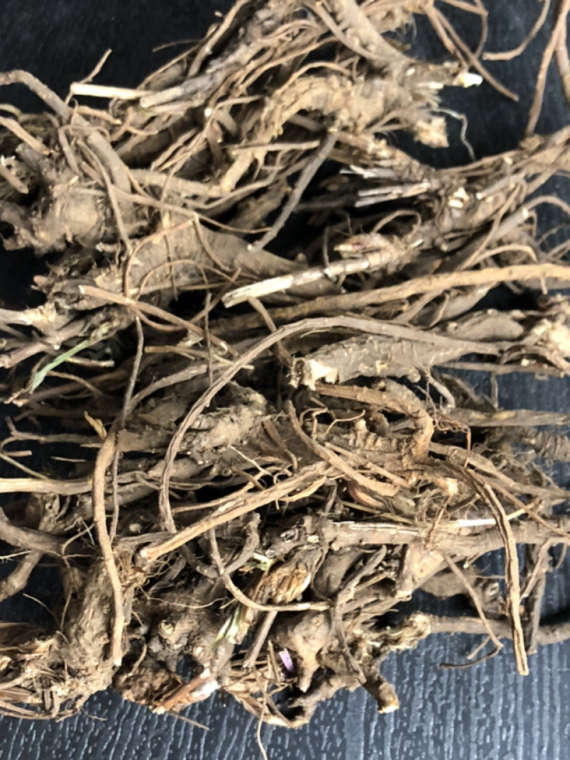 我们承德野生药的品种，欢迎咨询订购。