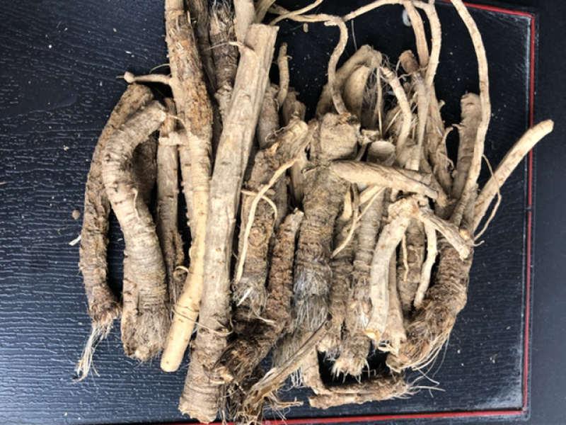 我们承德野生药的品种，欢迎咨询订购。