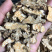 我们承德野生药的品种，欢迎咨询订购。