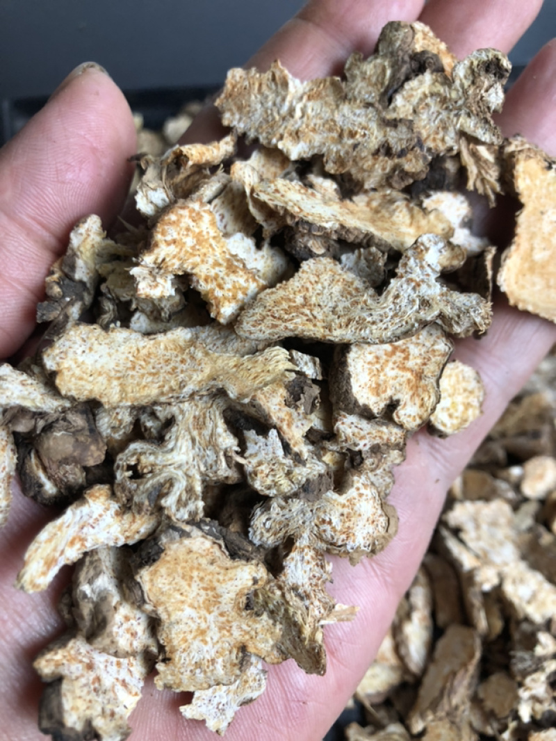 我们承德野生药的品种，欢迎咨询订购。