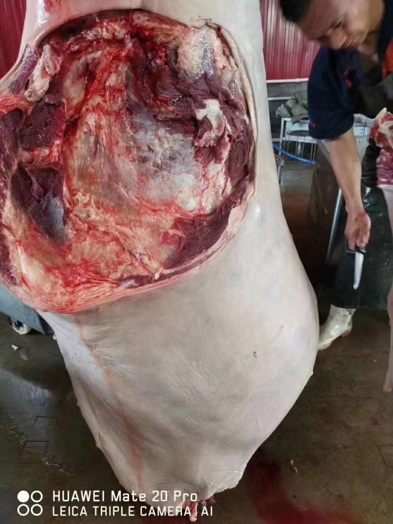 鲜马肉，带皮现杀马肉，每天现杀鲜货