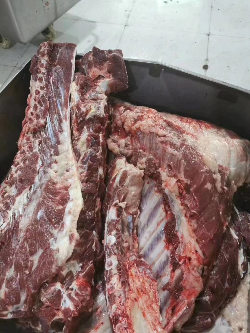 鲜马肉，带皮现杀马肉，每天现杀鲜货