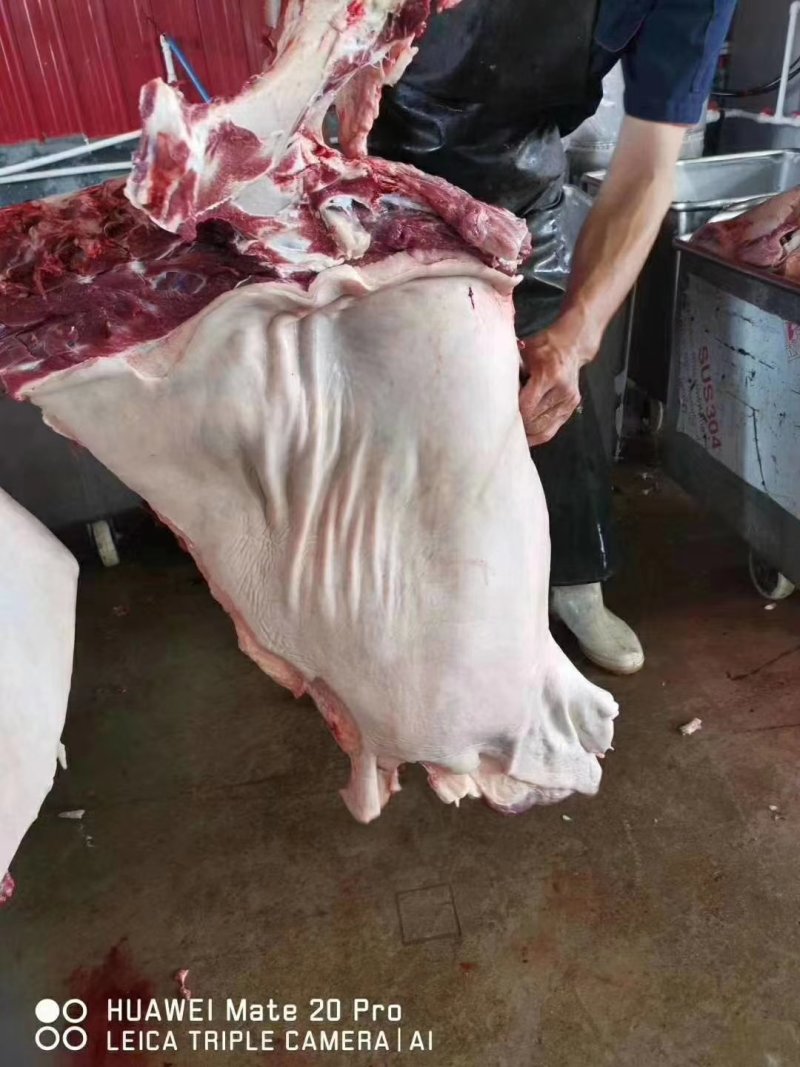鲜马肉，带皮现杀马肉，每天现杀鲜货
