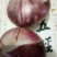 洋葱