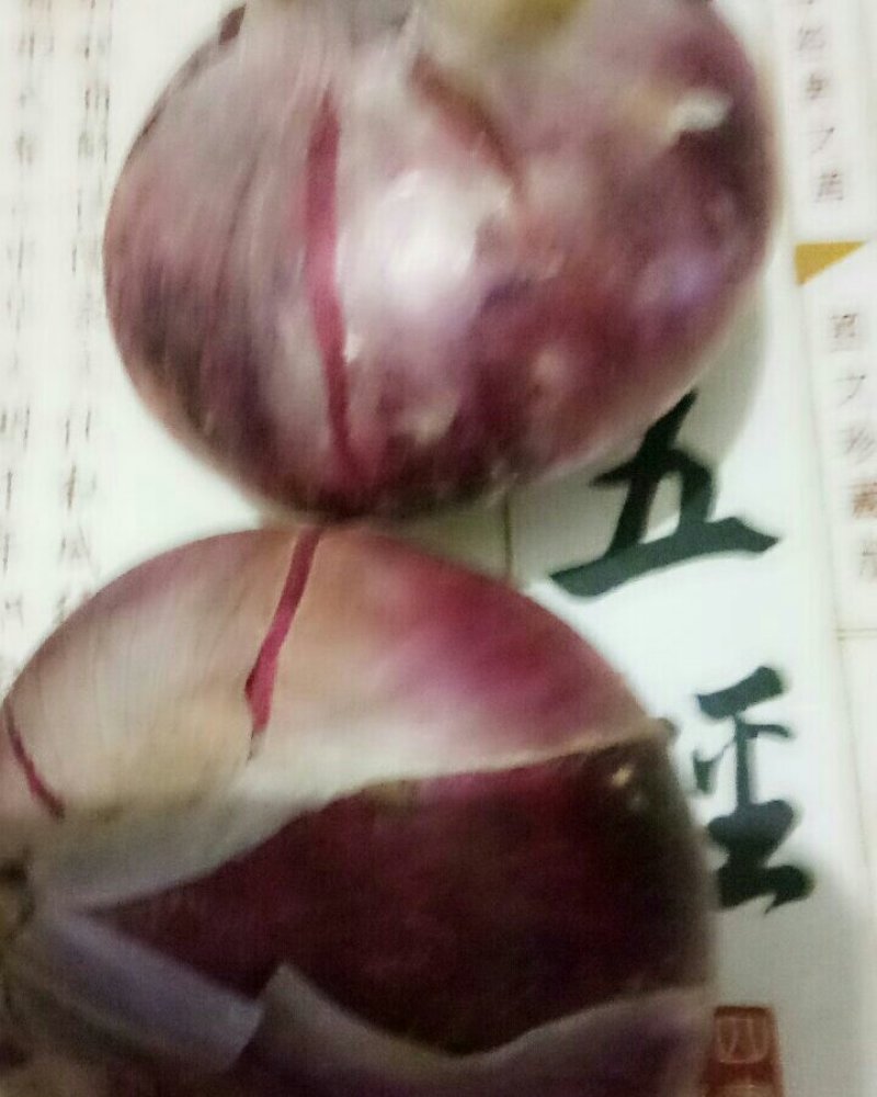 洋葱