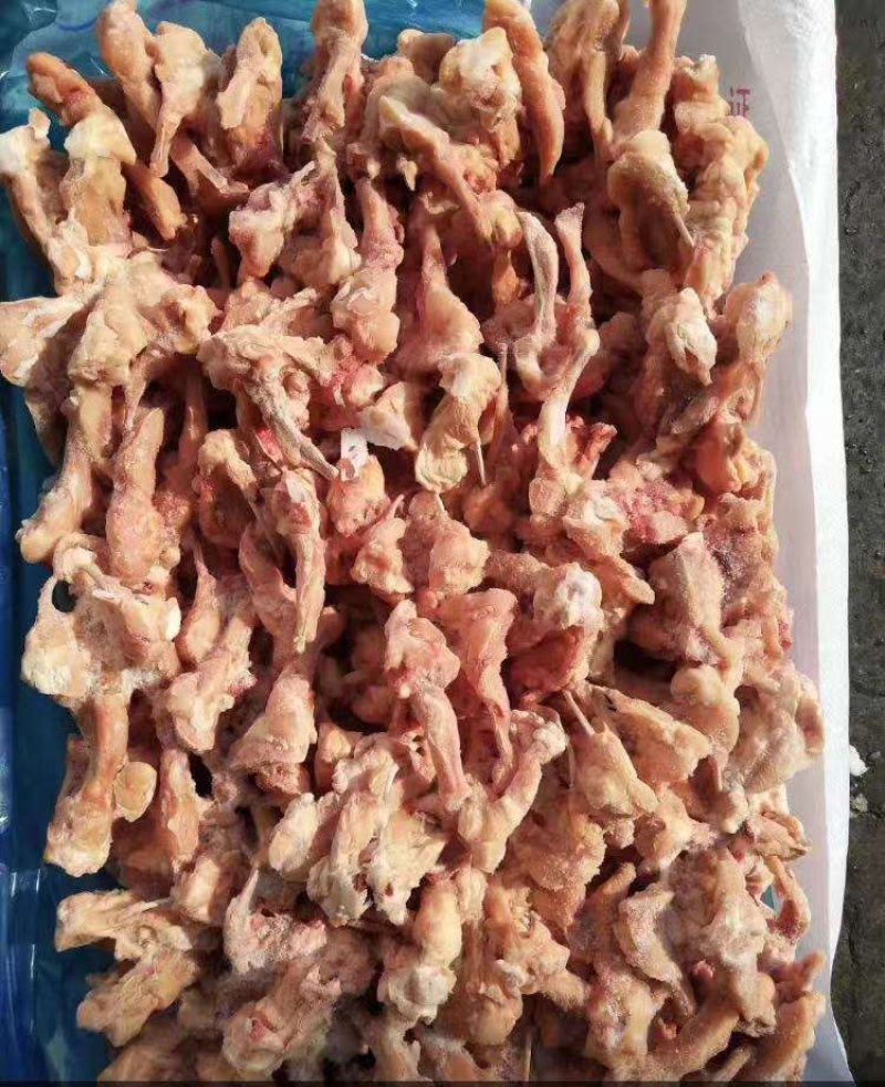 冷冻鸡鸭猪牛羊牛蛙水产海鲜调理品全系列