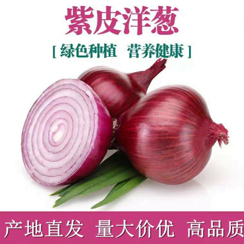 二红洋葱，冷库洋葱，量大，可长期持续供应