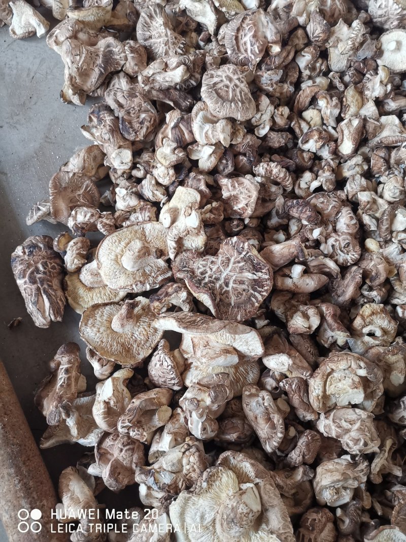 大片特价
