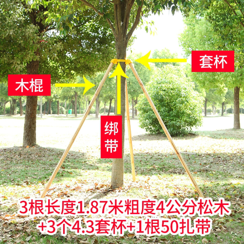 绿化支撑杆原木，杨木松木原木，苗木支撑杆套杯