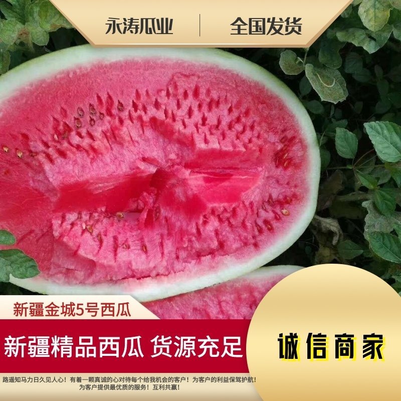 新疆西瓜代办产地价格精准严选品质专业物流发全国