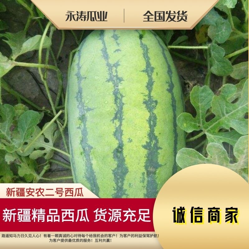 新疆西瓜吐鲁番哈密昌吉产地直供