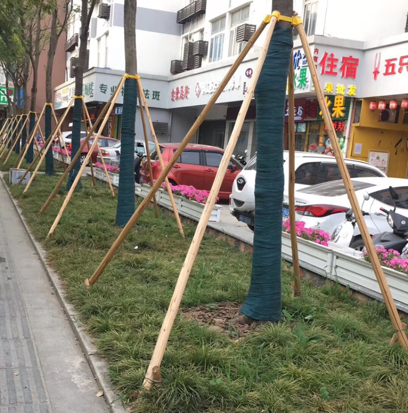 绿化支撑杆园林大树固定器大树支撑杆