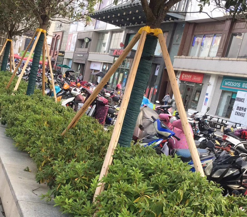 绿化支撑杆园林大树固定器大树支撑杆