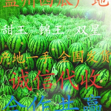 万福李小盖州西瓜代办全国代发诚信交友