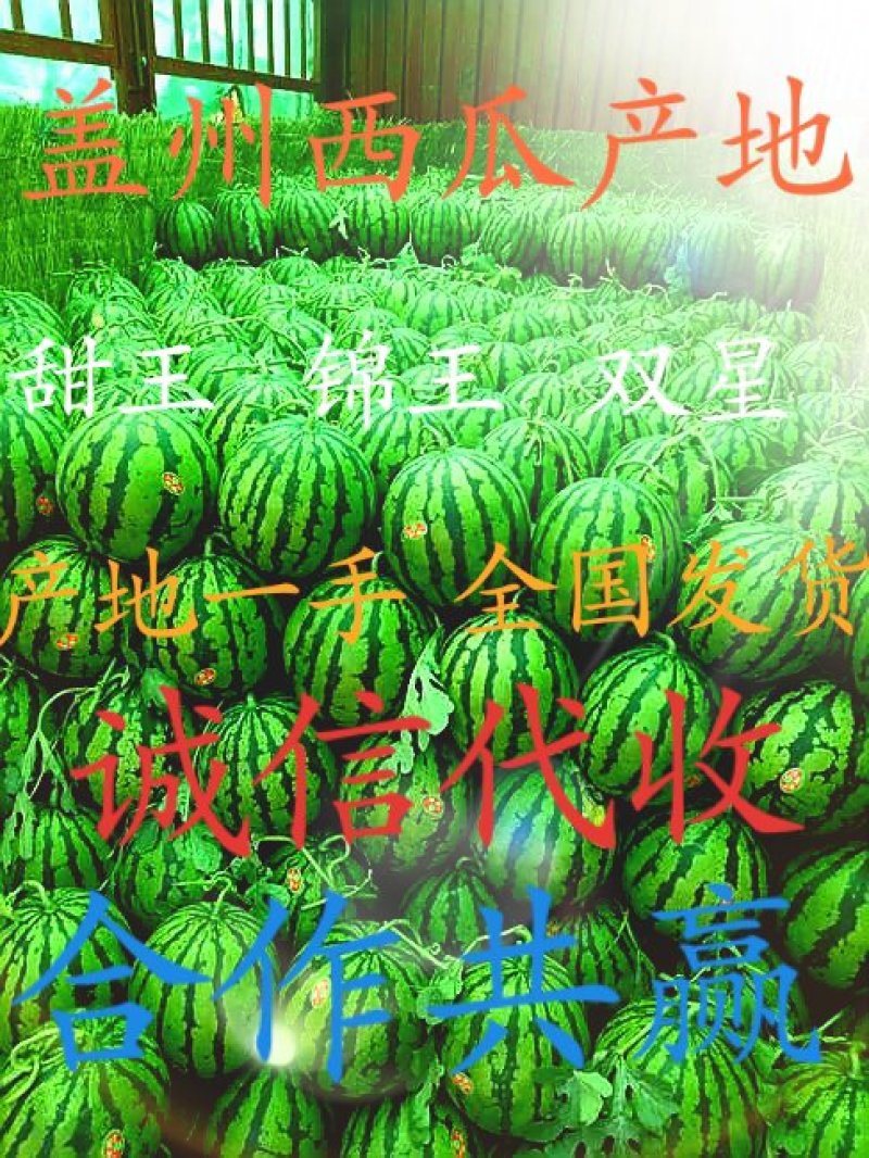 万福李小盖州西瓜代办全国代发诚信交友