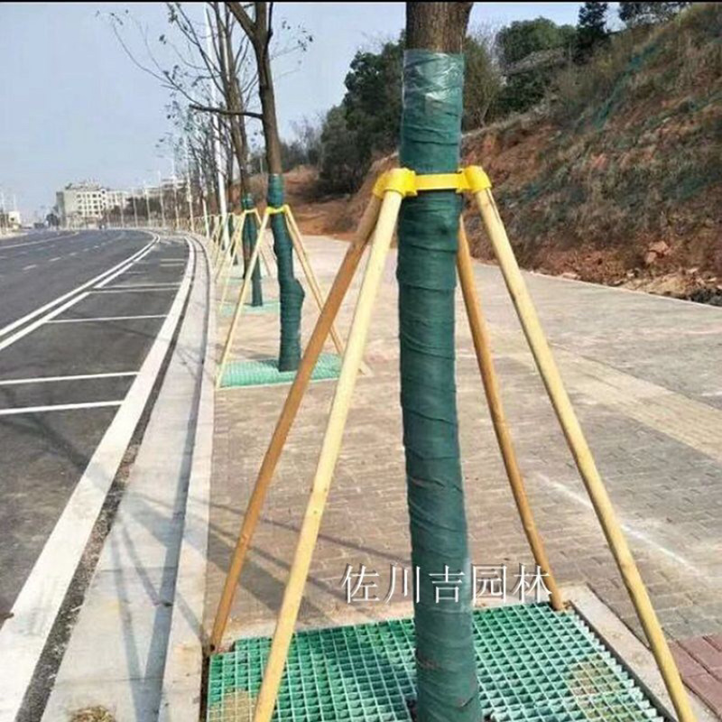 大树固定支撑苗木固定器绿化支撑套杯