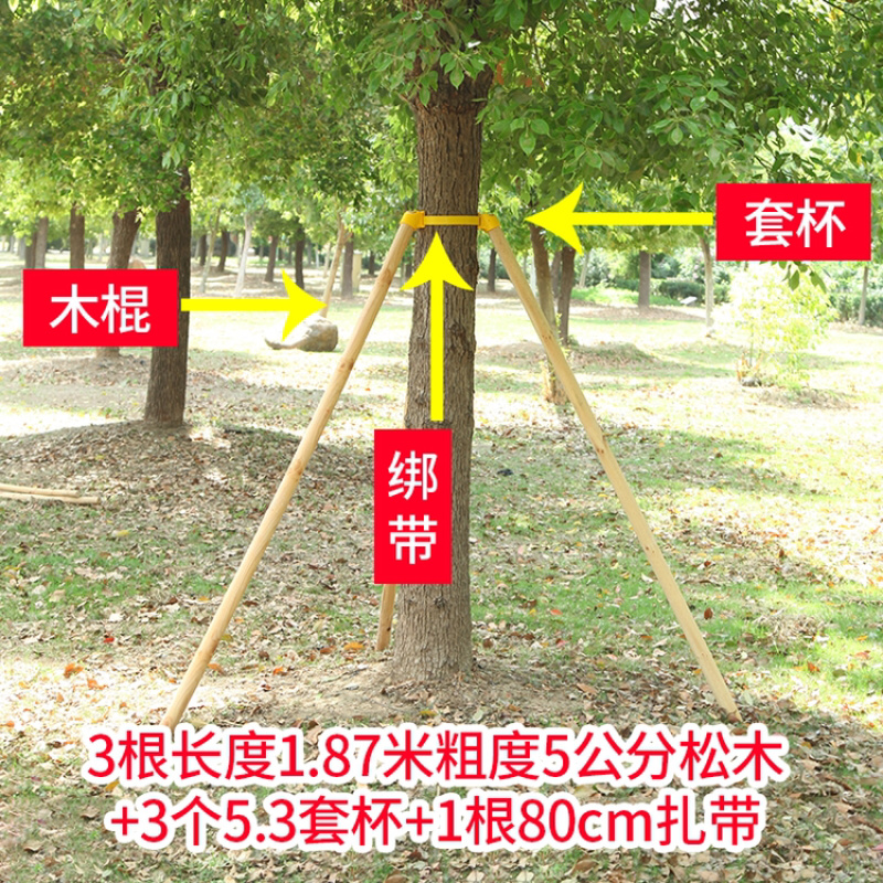 大树固定支撑苗木固定器绿化支撑套杯