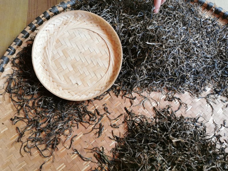 古树普洱茶制作白茶来自大山里的味道