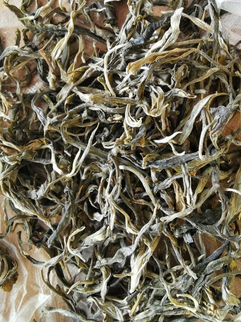 古树普洱茶制作白茶来自大山里的味道