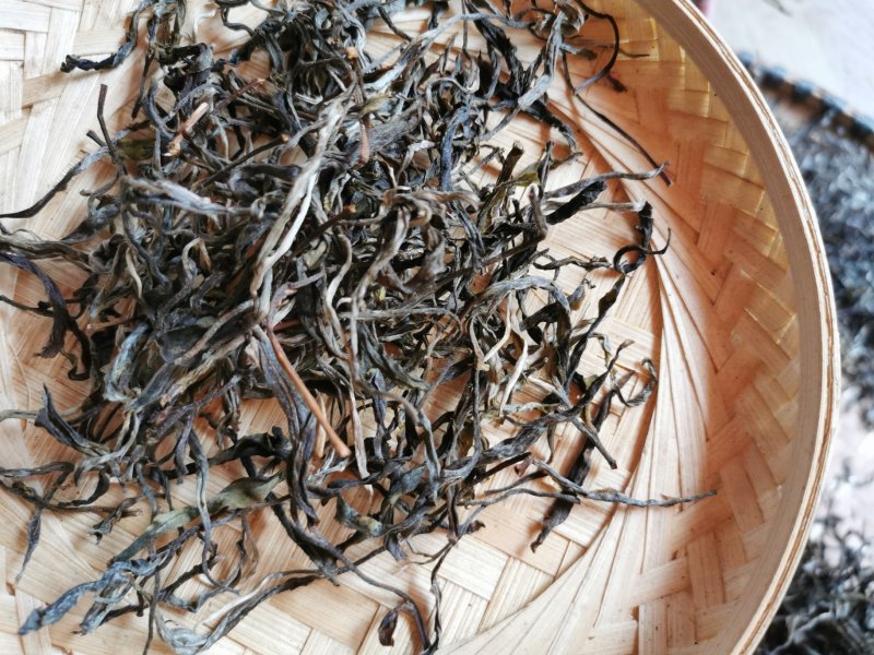 古树普洱茶制作白茶来自大山里的味道
