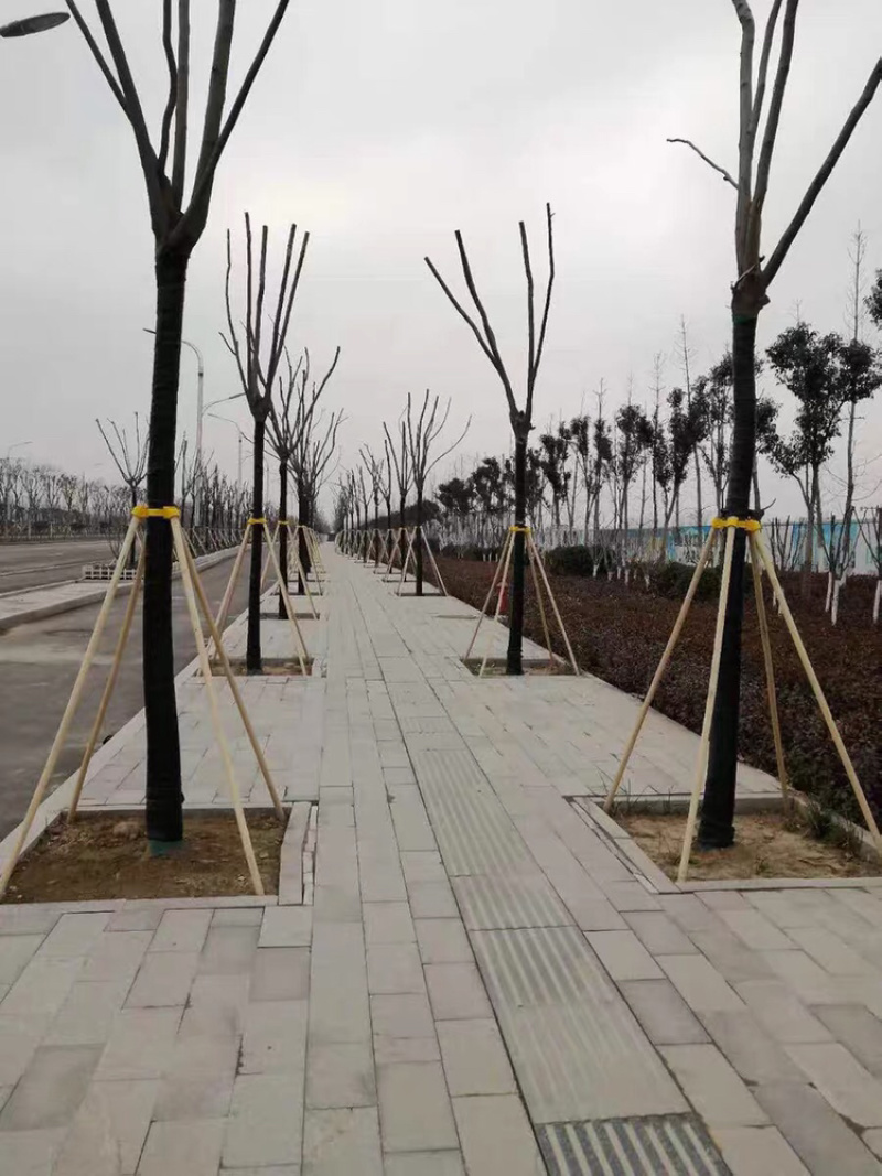 大树固定器绿化支撑杆树木固定器苗木支撑杆
