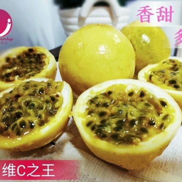 黄金百香果数百亩基地现采摘发8.5