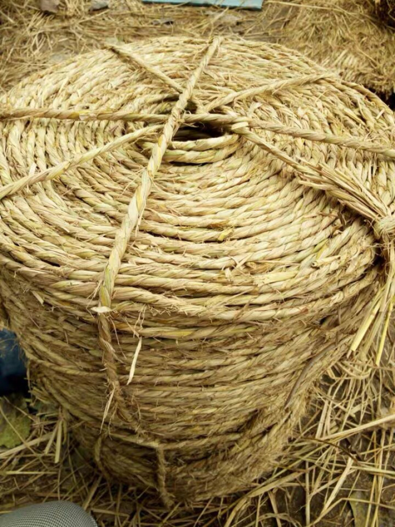 稻草绳子草绳花木移栽包扎土球，新苗缠住主杆保湿防冻