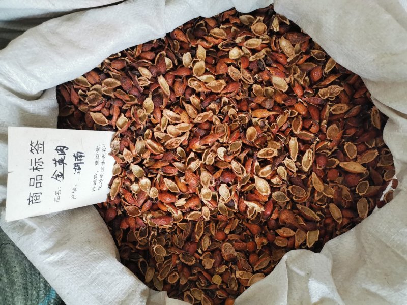 金樱子个~金樱子肉野生干品泡酒料泡茶宜配锁阳肉苁蓉
