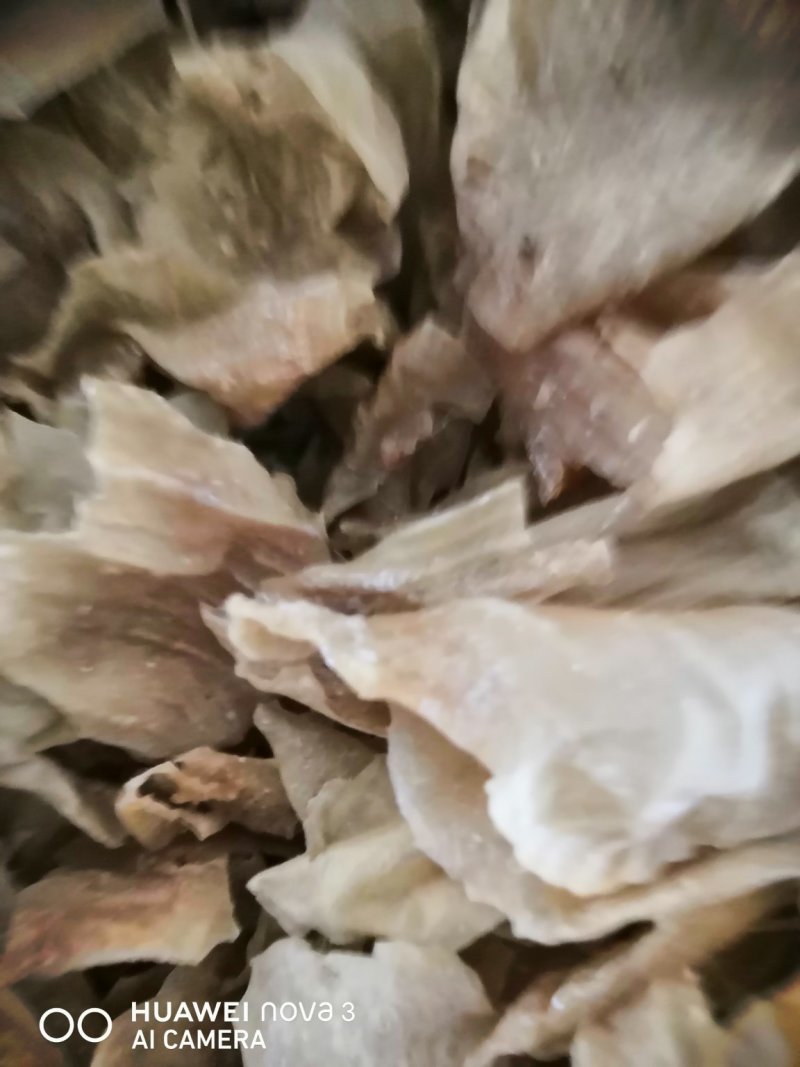 鸡内金中药材！各种规格批发零售，量大包邮！