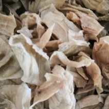 鸡内金中药材！各种规格批发零售，量大包邮！