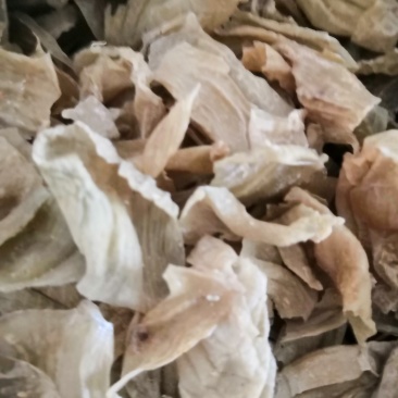 鸡内金中药材！各种规格批发零售，量大包邮！