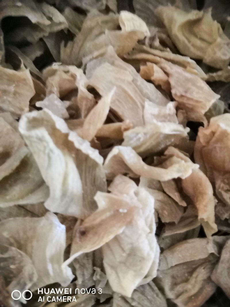 鸡内金中药材！各种规格批发零售，量大包邮！