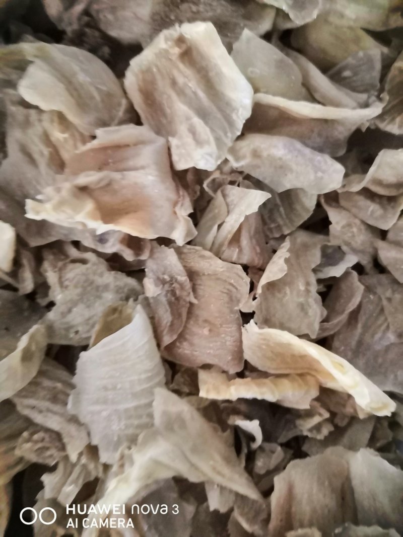 鸡内金中药材！各种规格批发零售，量大包邮！
