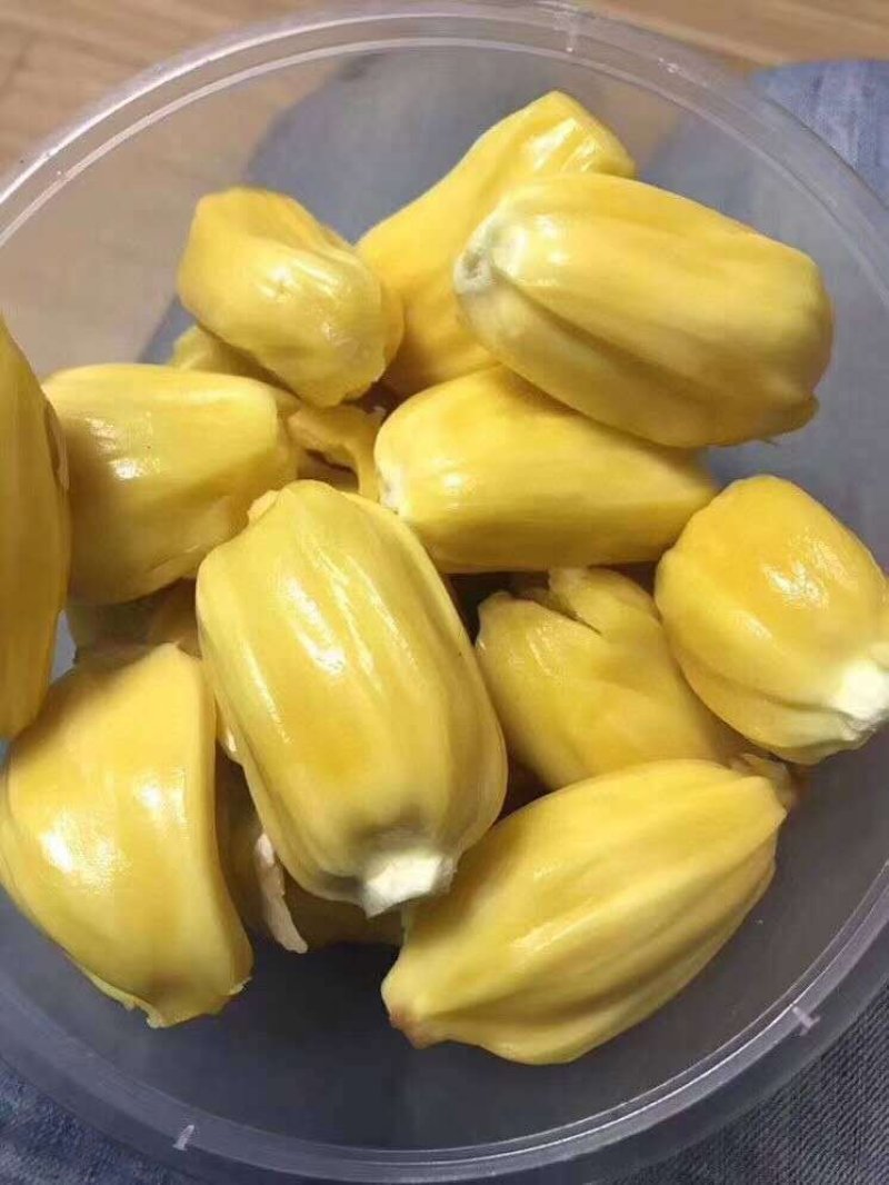 【支持一件代发】海南菠萝蜜脆甜爽口，送刀子和手套