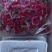 花的世界，食用三色花，元宝花，菊花，吊兰，千叶菊