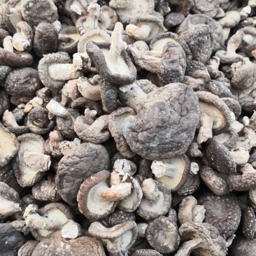 干香菇