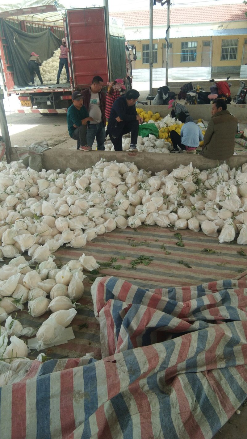 欢迎全国各地老板前来收购